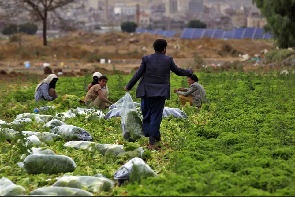 ኢትዮጵያውያን ስደተኞች በዝቅተኛ ክፍያ ሥራ እየተኩ መሆኑ ተነገረ!