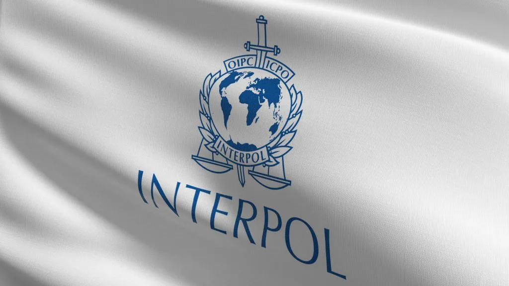 Interpol ranks Ethiopia 5th in Africa for digital attack vulnerability